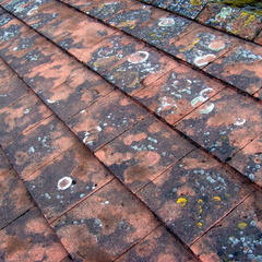 Roof After Scraping 2